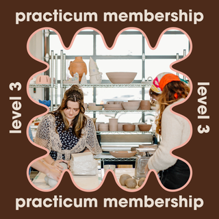 Practicum (Level 3) Membership - Monthly